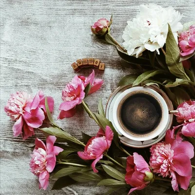 чашка черного кофе на подоконнике под лучами солнца и красивые цветы  Стоковое Фото - изображение насчитывающей пена, кофе: 225275190