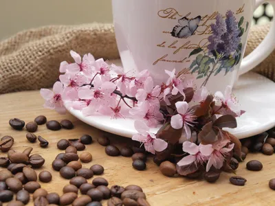 Картинки с чашечкой кофе и пожеланием Доброго утра. | Цветочные корзины,  Цветочный, Цветочные композиции