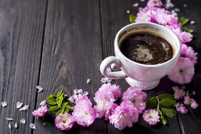 Кофе Цветы Красивые Фото – Telegraph