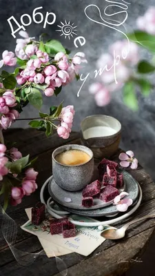 Чашка кофе по утрам Dalgona и красивые белые цветы и шоколад на черном фоне  Стоковое Изображение - изображение насчитывающей питье, сладостно: 184595041