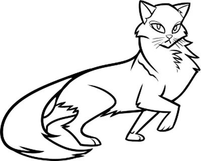 Рисунки Коты-Воители для срисовки