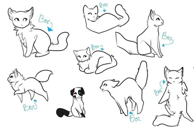 Рисунки Коты-воители для срисовки (30 картинок)