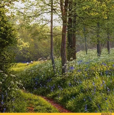 Картинки лес весной - фото и картинки: 72 штук