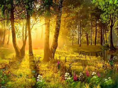 Красивый лес с цветами - 74 фото