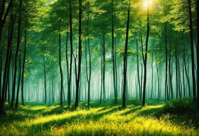 Красивый лес зеленая трава весна генеративный ai | Премиум Фото
