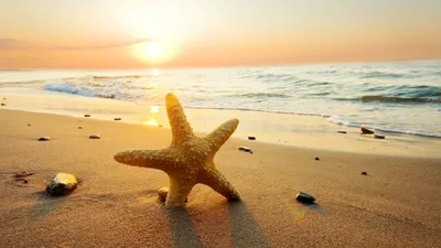 Бесплатное изображение: море, лето, солнце, тропический, пляж, красивые