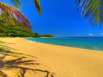 картинки : пляж, море, природа, песок, человек, солнце, след, в  одиночестве, шаг, лето, отпуск, путешествовать, береговая линия,  Приморский, ходить, Распечатать, Материал, босиком, Шаги, Грязевое покрытие  6016x4000 - - 1285678 - красивые картинки - PxHere