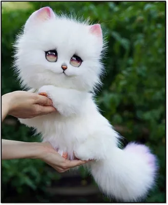 Купить Новые красивые милые элегантные броши с изображением кота для  женщин, черный и белый цвет, булавка с мультяшным животным, эмалированные  украшения | Joom
