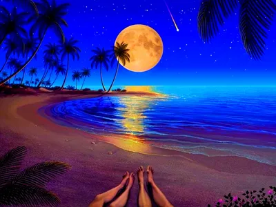 Картинка на рабочий стол луна, море, пляж, пальмы 1280 x 960