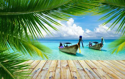 Картинки пляж пальмы красивые (55 фото) » Картинки и статусы про окружающий  мир вокруг