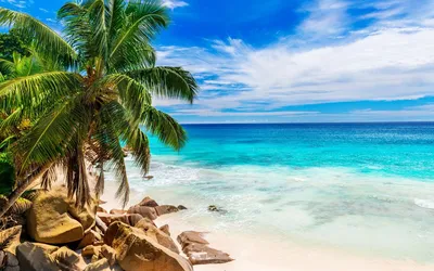 Красивый пляж с белым песком, бирюзовый океан, окруженный пальмами и  голубым небом с облаками в солнечный день, голубая лагуна, райский остров,  пальмы, путешествие | Премиум Фото