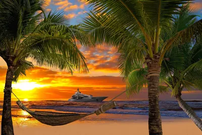 тропический рай пляж пальмы море океан закат тропики песок берег HD обои  для ноутбука | Beach sunset photography, Sunset photography, Beautiful  sunset