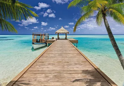 Красивая природа флизелиновые фотообои море океан 312x219 см 3Д Солнечный  пляж и пальмы (735VEXXL)+клей купить по цене 1400,00 грн