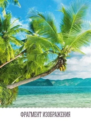 Голубое небо и море тропический пляж Живописный фон печатные пальмы красивый  закат Вид Дети морской вечеринки Фото фоны | AliExpress