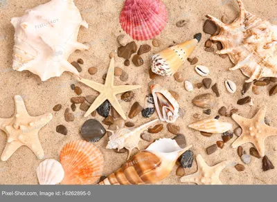 Красивые морские камни, округлые, на…» — создано в Шедевруме