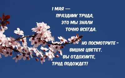 1 мая – Праздник Весны и Труда