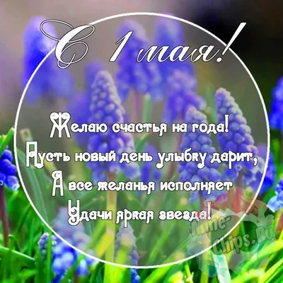 Картинки красивые! Открытка 1 мая, с праздником весны первое мая, мир,  труд, май!