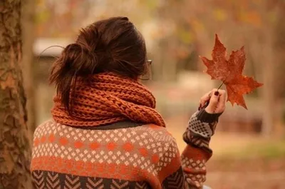 Осенние листья: истории из жизни, советы, новости, юмор и картинки — Лучшее  | Пикабу
