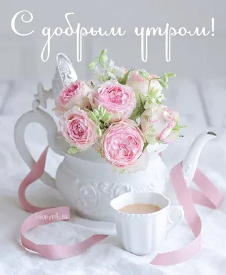 Идеи на тему «С добрым утром!» (8) | доброе утро, розовые пионы, цветы на  рождение