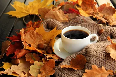 Осенний кофе в руках - 64 фото