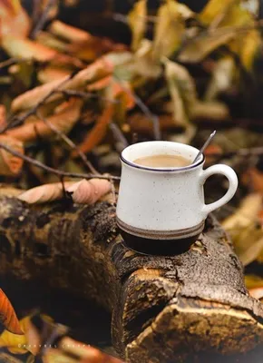 Осенний кофе рисунок - 74 фото