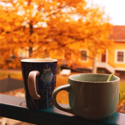Осенняя открытка с добрым утром понедельника | Доброе утро, Взбитый кофе,  Осень