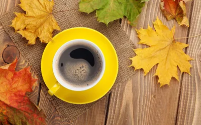 Красивые картинки осень и кофе - 77 фото