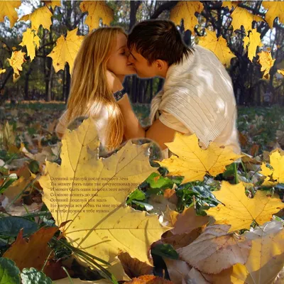 Красивая осень! 😍 Автор кадров: Любовь Хохлова. ❤ Не забывай поставить  лайк! 📸 Предлагайте нам свои фотографии ⠀ 😉 Отмечайте нас… | Instagram