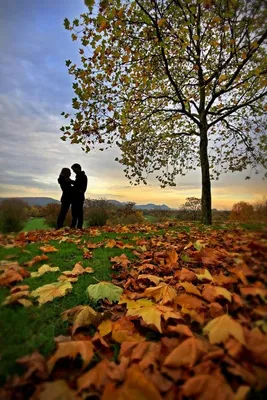 Романтичная осень (55 фото) - 55 фото