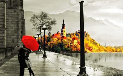 Осень в Подмосковье: самые красивые места для прогулок | Путеводитель  Подмосковья