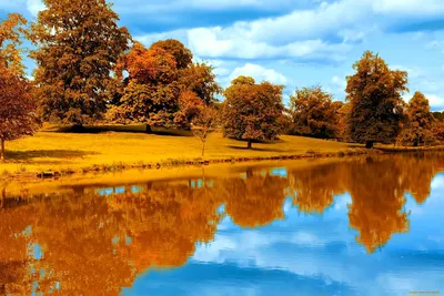 фото осени, фото осени красивое, красивые фото осени природа, фото золотой  осени, красивые фото золотой осени, красивые виды осени, красивые деревья  осенью фото, фотографии осени, золотая осень Stock Photo | Adobe Stock
