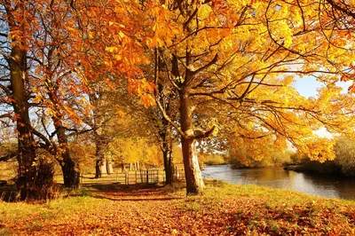 Какая осень в лагерях\" / красивые картинки :: Осень :: Природа :: города ::  страны :: длинопост - JoyReactor