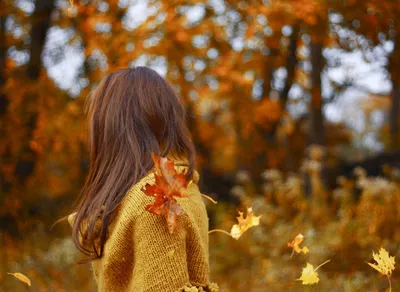 Ну, здравствуй, осень! 127 картинок на телефон, аву и просто для настроения  🍁 | Autumn coffee, Autumn photography, Autumn cozy