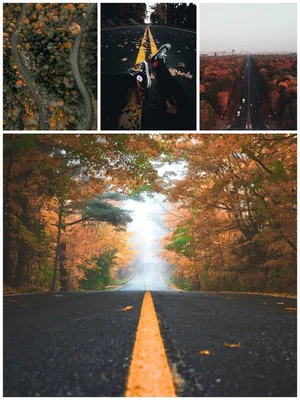Две Красивые Девушки В Осеннем Парке После Шопинга Потребитель — стоковые  фотографии и другие картинки Осень - iStock