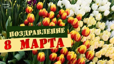 Красивые поздравления на 8 марта — открытки. #8марта #красивыеоткрытки |  поздравления с 8 марта | Постила