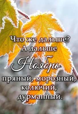 25+ открыток \"С первым днем осени\" бесплатно друзьям и родственникам