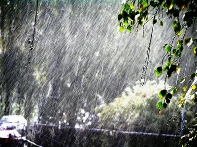 Красивые Капли Дождя На Оконном Стекле Весенняя Летняя Погода С Теплым  Дождем Стоковое Фото — стоковые фотографии и другие картинки Абстрактный -  iStock