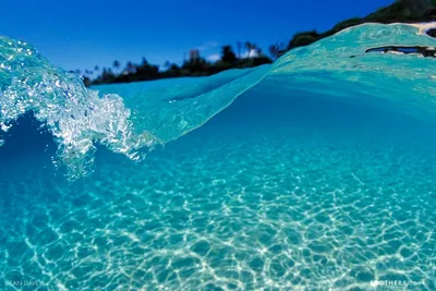 Красивый фон кораблекрушения под водой, морское дно, фон, Подводный мир фон  картинки и Фото для бесплатной загрузки