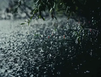Дождь Падает На Окно Красивый Фон — стоковые фотографии и другие картинки  Абстрактный - Абстрактный, Влажный, Вода - iStock