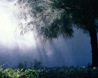 Красивый дождь» — создано в Шедевруме