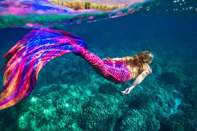 Mermaid Lorelei's Finfolk Productions Tail Unboxing Video by Mermaid  Lorelei 2016-06-05 | Fotos de sereia, Os oceanos, Belize