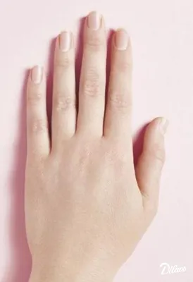 Красивые женские руки на белой предпосылке. Стоковое Фото - изображение  насчитывающей рука, французско: 36946530
