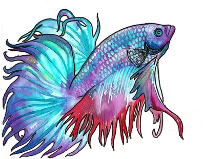Рыбы бывают разных форм, размеров и цветов, и каждая из них имеет свои  уникальные особенности. Сегодня мы расскажем о самых красивых рыбках… |  Instagram