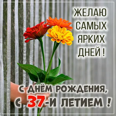 Красивая открытка с днем рождения для Зои - поздравляйте бесплатно на  otkritochka.net