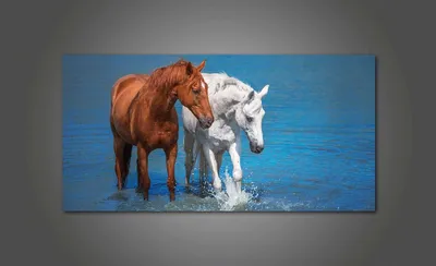 Красивые Лошади Скаковая Лошадь Английская Скаковая Лошадь Украинская Лошадь  — стоковые фотографии и другие картинки Горизонтальный - iStock