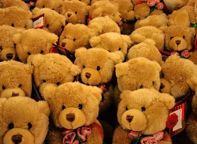 Мастер-класс Милые медвежата | Дети в городе Одесса