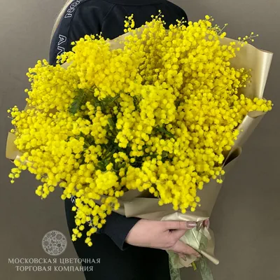 Магазин искусственных цветов №1 Искусственные цветы мимоза весенний букет