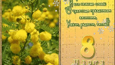 Ромашки с мимозой - 35 шт. за 10 290 руб. | Бесплатная доставка цветов по  Москве