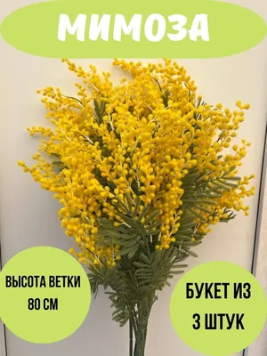 Волшебное утро: букет с желтыми тюльпанами, хлопком и мимозой по цене 5319  ₽ - купить в RoseMarkt с доставкой по Санкт-Петербургу