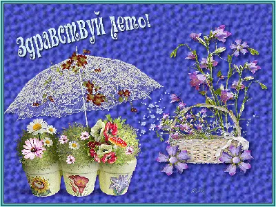 Первый день лета 1 июня - поздравления и открытки с первым днем лета -  новости Украины